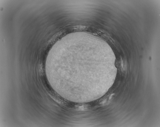 X0000078230564200611251217