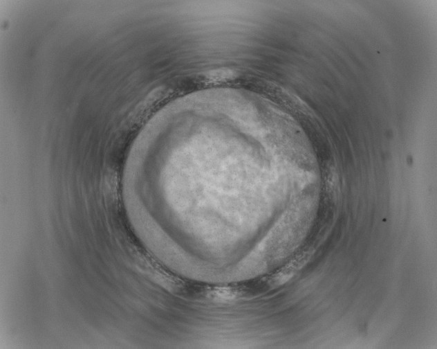 X0000078230565200611251217