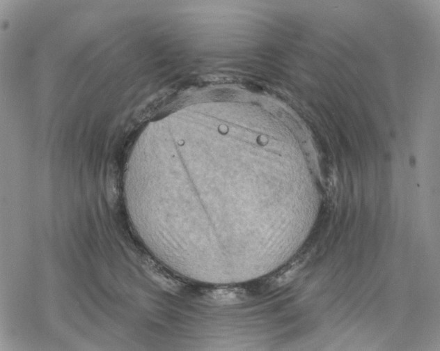 X0000078230566200611251217