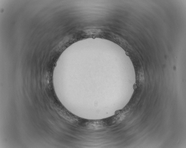 X0000078230567200611251217