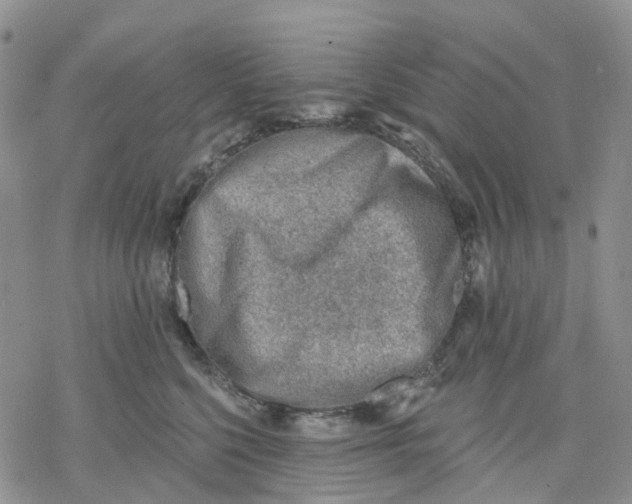 X0000078230568200611251217