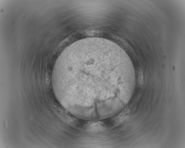 X0000078230569200611251217