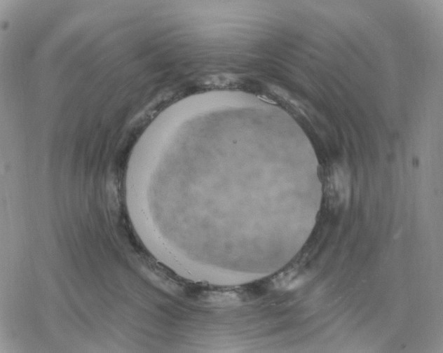 X0000078230572200611251217