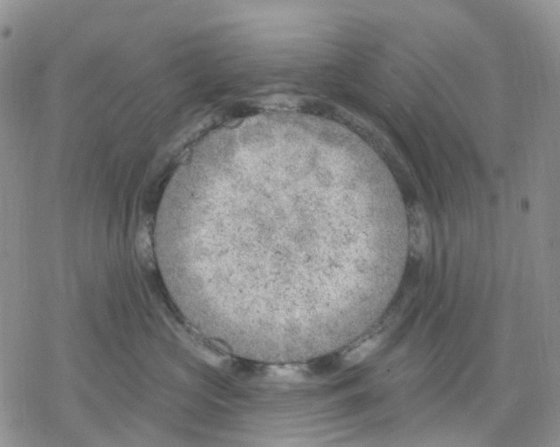 X0000078230573200611251217