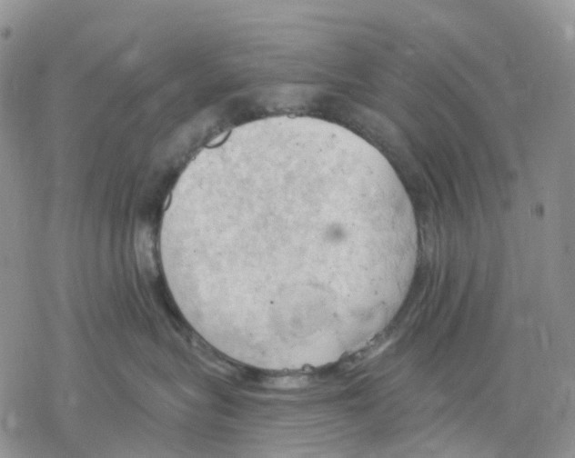 X0000078230575200611251217