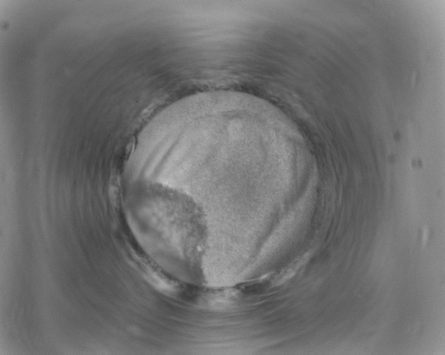 X0000078230576200611251217