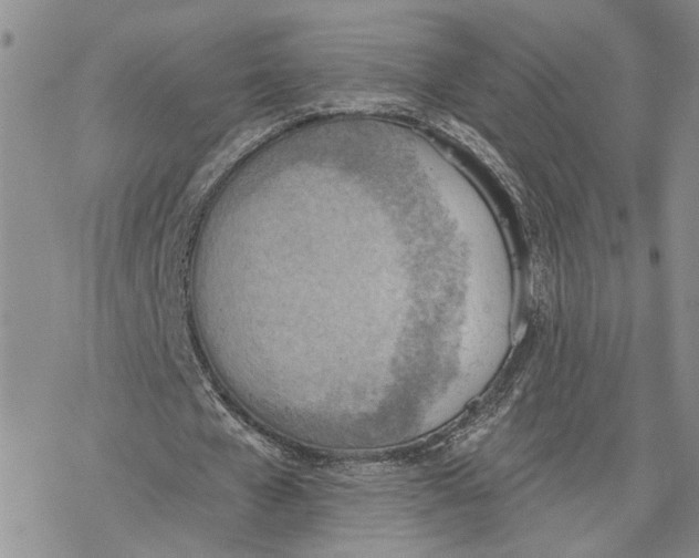 X0000078230577200611251216