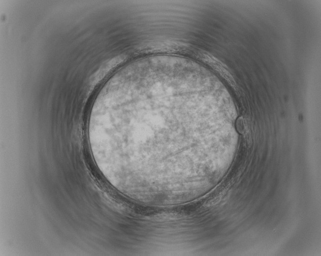 X0000078230578200611251216