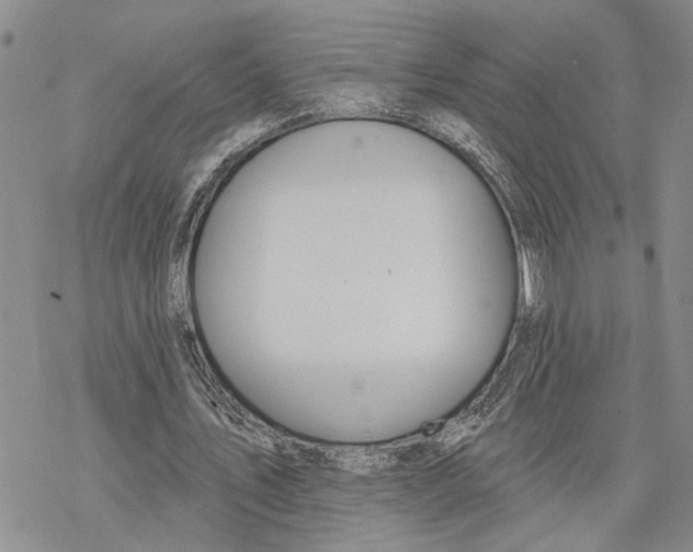 X0000078230579200611251216