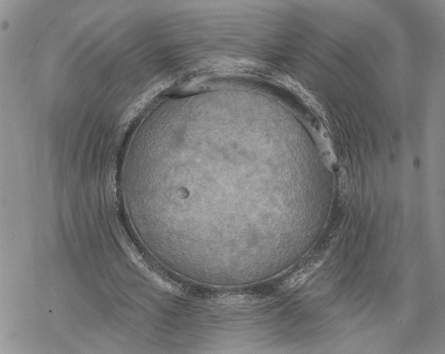 X0000078230581200611251216