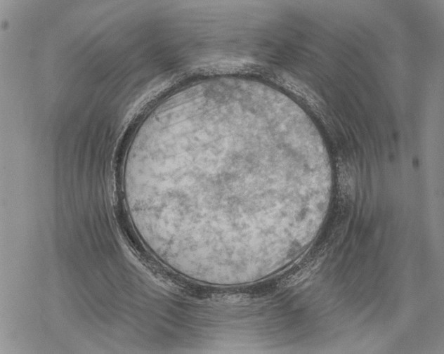 X0000078230582200611251216