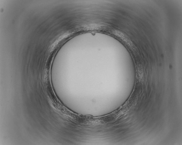 X0000078230583200611251216