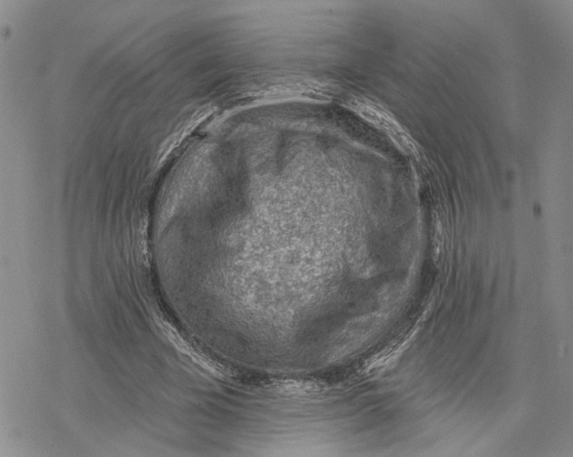 X0000078230585200611251216