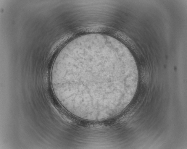 X0000078230586200611251216