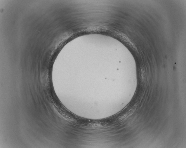 X0000078230588200611251216