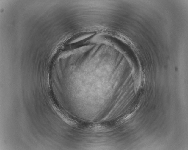 X0000078230589200611251216