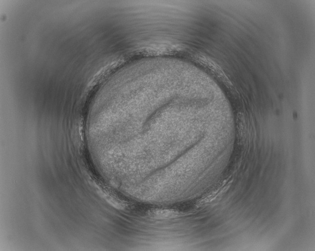 X0000078230590200611251216