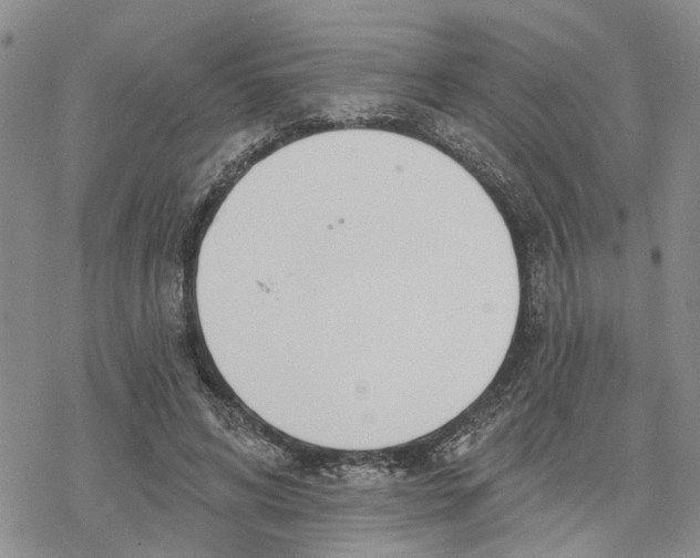 X0000078230592200611251216