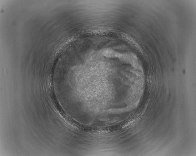 X0000078230593200611251216