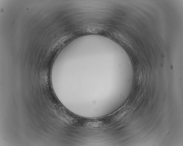 X0000078230595200611251216