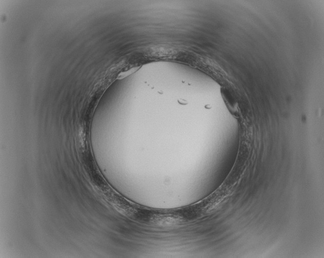 X0000078230597200611251216