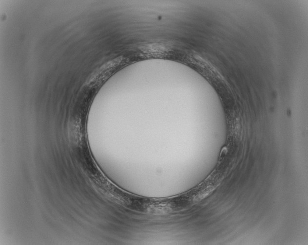 X0000078230599200611251216