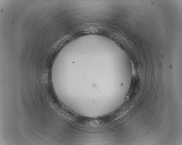 X0000078230600200611251216