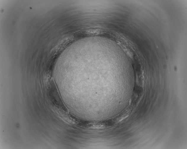 X0000078230601200611251216