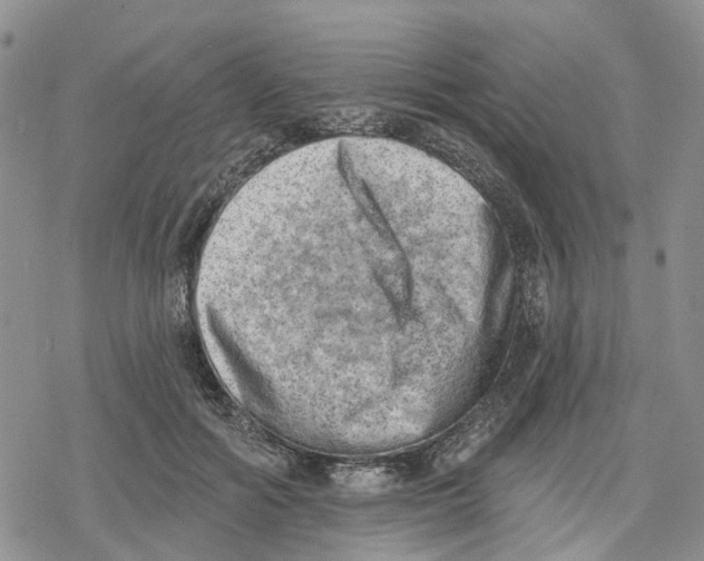 X0000078230602200611251216