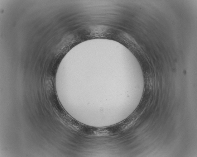 X0000078230603200611251216