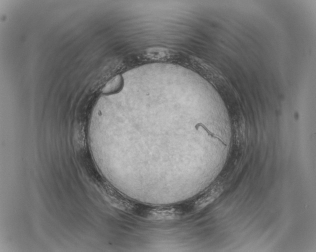 X0000078230606200611251216