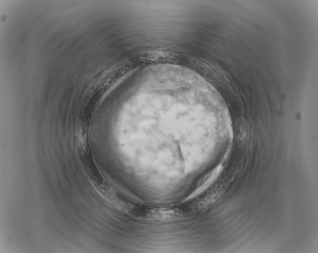 X0000078230607200611251216