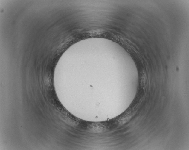 X0000078230608200611251216