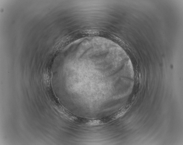 X0000078230609200611251216