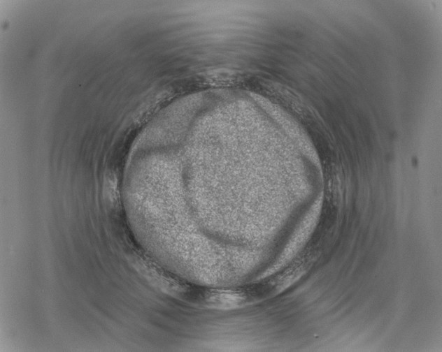 X0000078230610200611251216