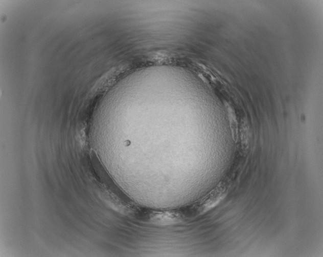 X0000078230611200611251216