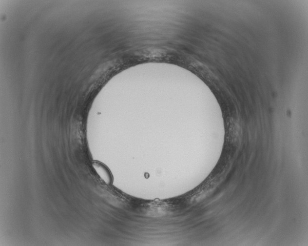 X0000078230612200611251216