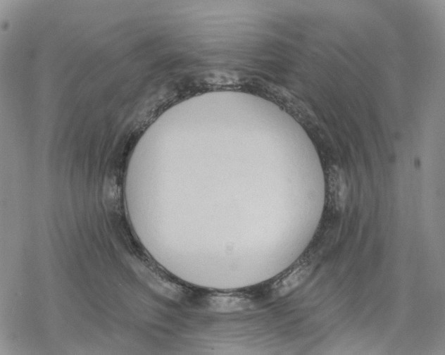 X0000078230614200611251216