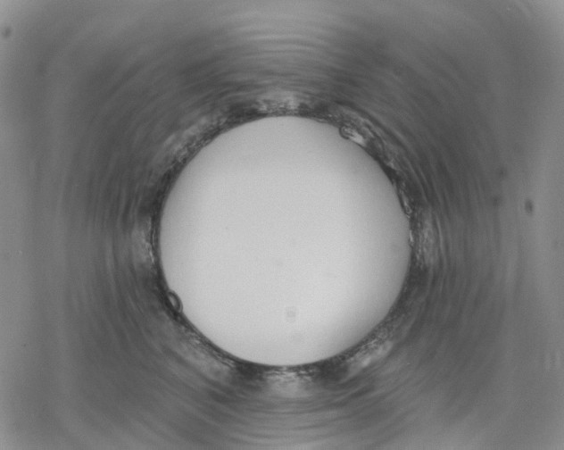 X0000078230616200611251216