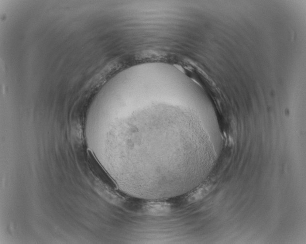 X0000078230617200611251215