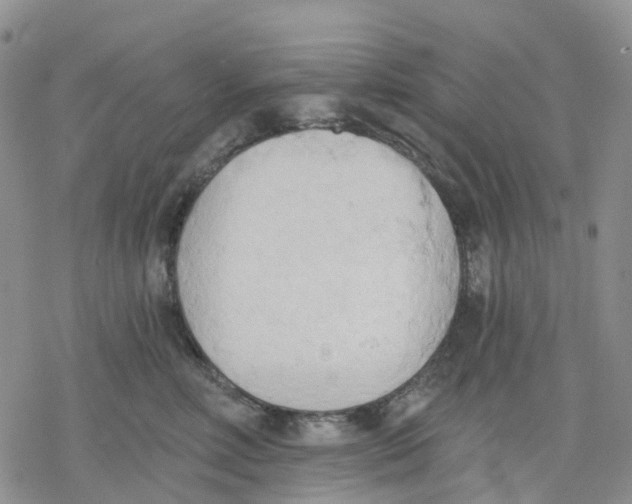 X0000078230618200611251215