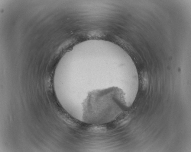 X0000078230619200611251215