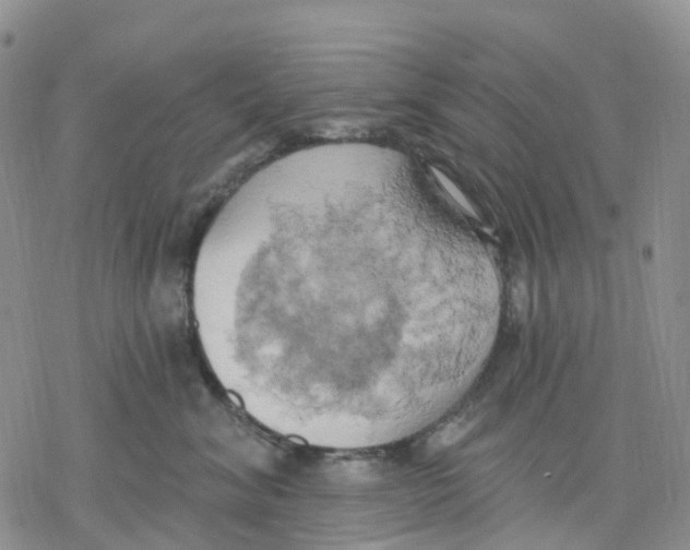 X0000078230620200611251215