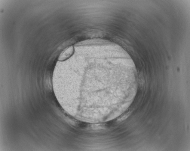 X0000078230622200611251215