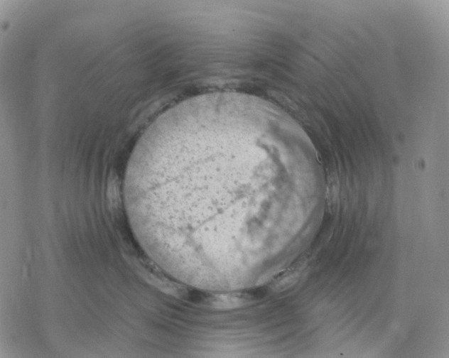 X0000078230623200611251215