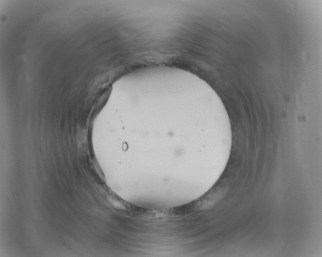 X0000078230624200611251215