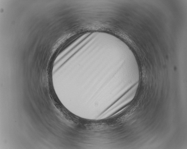 X0000078230626200611251215