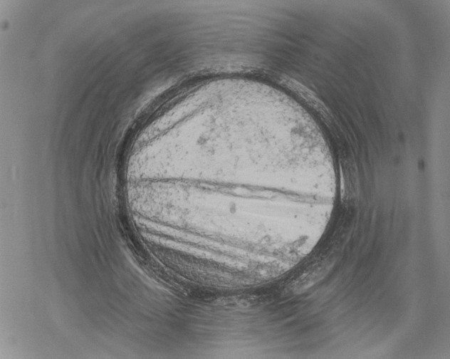 X0000078230627200611251215