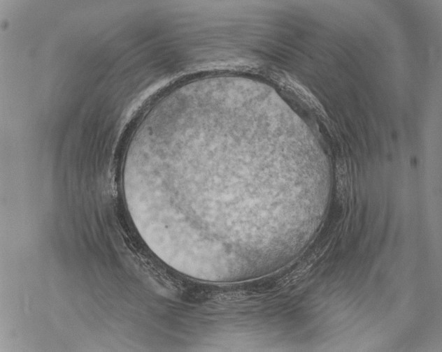 X0000078230628200611251215