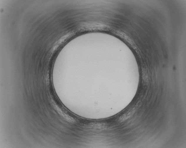 X0000078230629200611251215